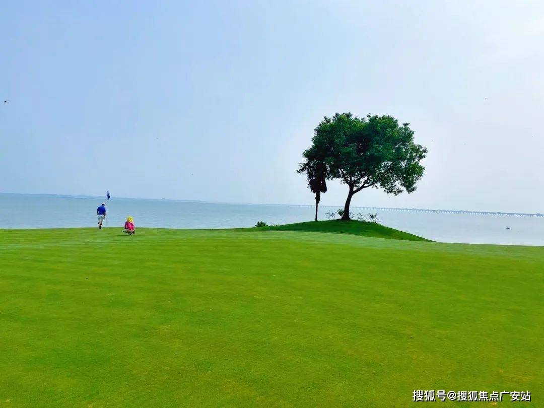 -2024楼盘评测_望湖玫瑰园｜最新价格｜配套户型爱游戏app网站手机版望湖玫瑰