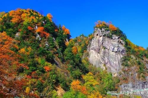 旅游三天大概多少开销旅游出行带走这篇爱游戏(ayx)中国网站第一次来四川(图5)