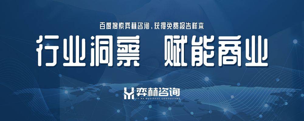 2025年外墙梯子市场爱游戏app全面分析(图3)